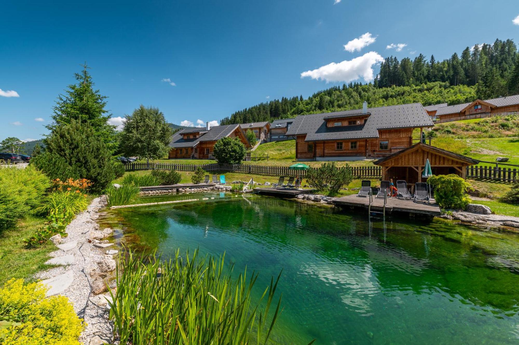 Poolchalet Dachsteinblick 프루게른 외부 사진